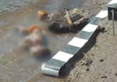 Si-au legat fedeles copilul si l-au aruncat direct in balta
