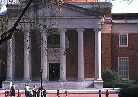 S-a descoperit un analgezic de opt ori mai puternic decât morfina