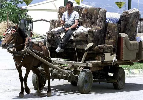 Cal, supus unui test de alcoolemie