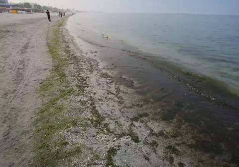 A vrut să-şi pună capăt zilelor aruncându-se în mare