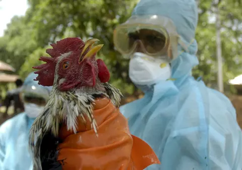 Atenţie! Se apropie o epidemie mondială de gripă