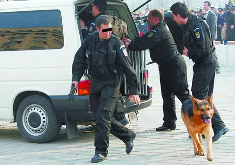 20 000 de lei, o cuşcă de câine