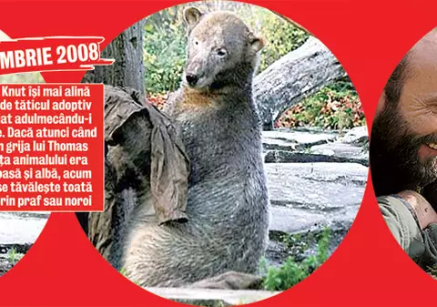 Unde e tăticul meu?