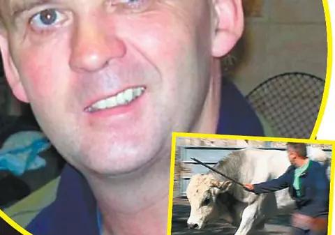 L-a călcat taurul pe cap