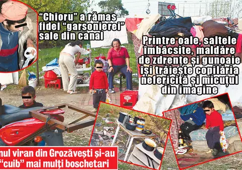 Au numărat boschetarii