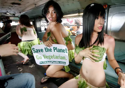 1 noiembrie, Ziua Mondială a Vegetarienilor