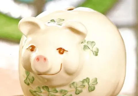 Puşculiţele-purcel, noile ”ţinte” ale hoţilor americani