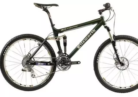 Biciclist lovit mortal de un poliţist