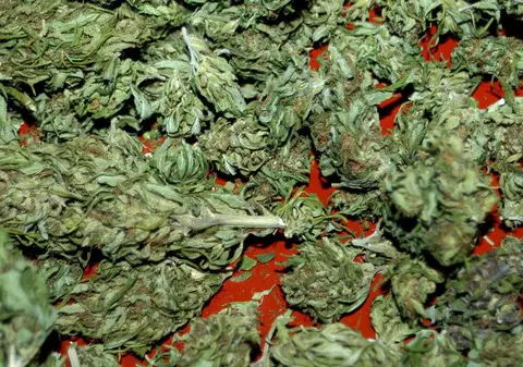 Marijuana îţi menţine creierul tânăr