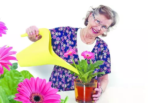 Învaţă cum să îngrijeşti plantele în sezonul rece