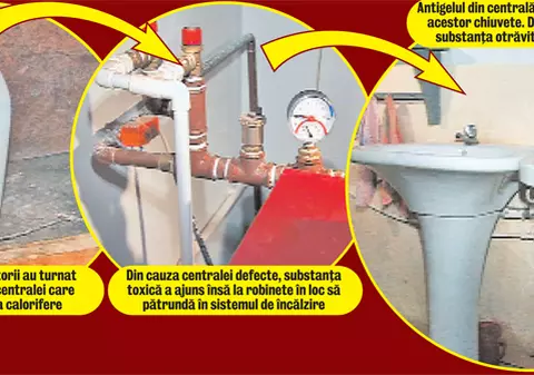 De aici au băut antigel