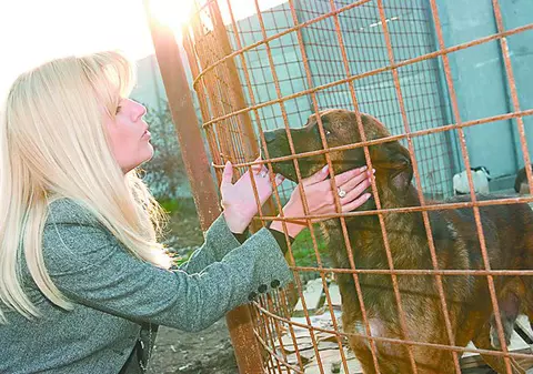 Elena Udrea, în vizită la adăpostul de câini «Zdreanţă»