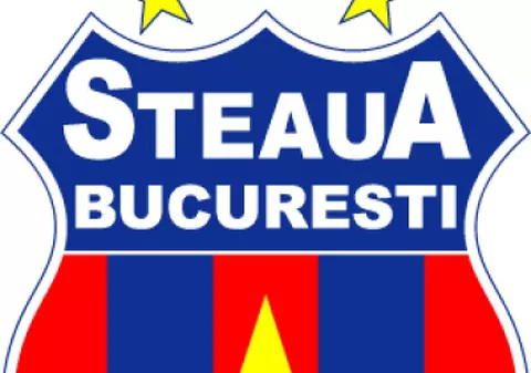 Steaua ia peste 500 000 de euro pentru EURO 2008 