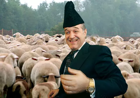 Gigi Becali: "Mă apuc de oierit" 