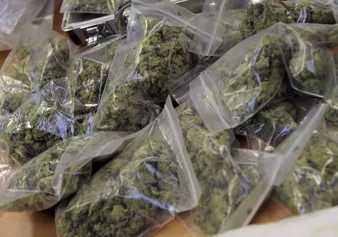 Au descoperit 2,5 tone de marijuana într-o şcoală