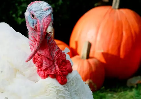 A rămas în viaţă pentru că e prea urât