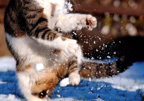 A căzut de la etajul 34 şi s-a ales doar cu zgârieturi