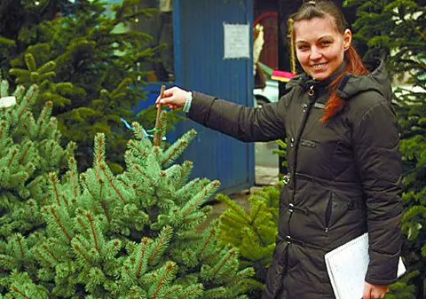 Brazi şi pentru săraci, şi pentru bogaţi