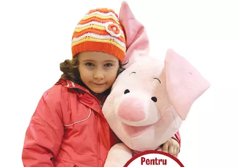 Ce jucărie dăruieşti copilului tău ?