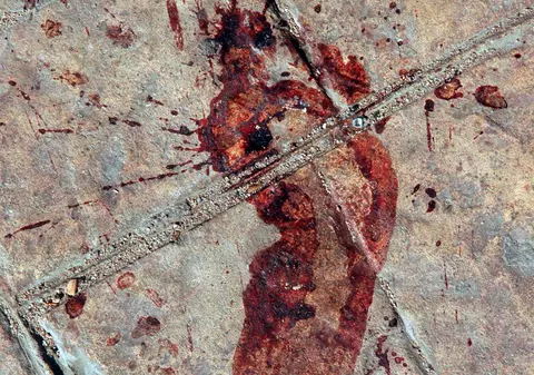 A fost ucisă pentru că a furat câteva nuci