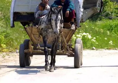 "Corbii" români, interzişi în Elveţia