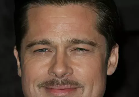 Brad Pitt vrea să se retragă 