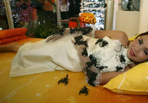 "Regina scorpionilor" a stabilit un nou record 