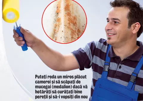 Vreţi să scăpaţi de igrasie?