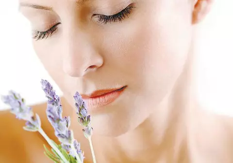 Lavanda, remediu pentru răceală şi gripă