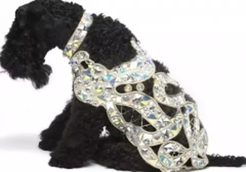 Şi-au căsătorit copilul de un an şi jumătate cu o...căţea