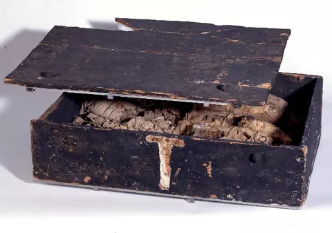 A lăsat-o să putrezească într-o cutie!