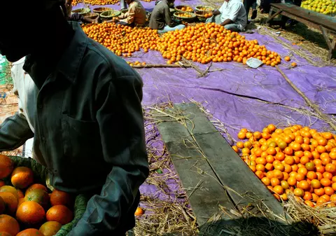 Cursurile l-au costat 15 tone de mandarine   