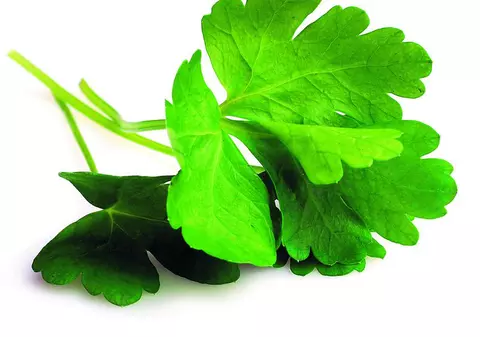 ANAF a dat lovitura! A blocat conturile unei bătrâne de 83 de ani care vinde pătrunjel