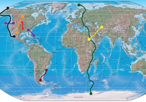 Zboară 64.000 km în căutarea hranei