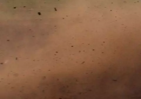 Bulgarii au cel mai poluat aer din UE