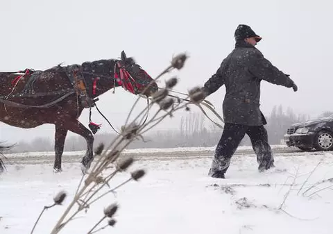 Amendat pentru că vindea carne de cal