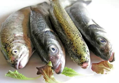 Adolescenţii sunt mai deştepţi dacă mănâncă peşte