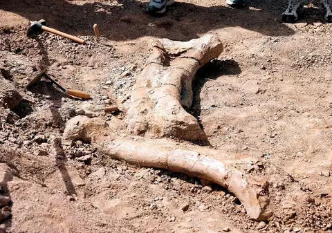 Oasele unor animale preistorice descoperite în centrul Chişinăului