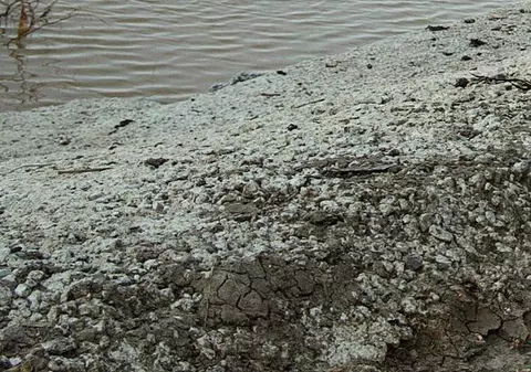 Şi-a îngropat nou-născutul lângă un pârâu