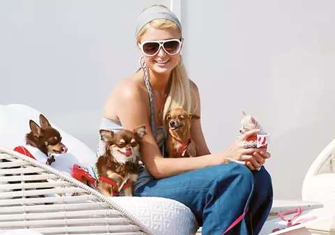 Omorâţi din cauza lui Paris