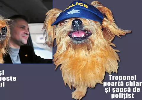 Ăsta da "câine poliţist"