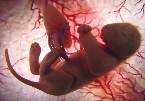 Încă puţin şi venim pe lume!