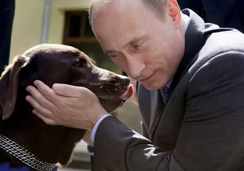 Căţeaua lui Putin i-a lăsat flămânzi pe liderii Rusiei Unite