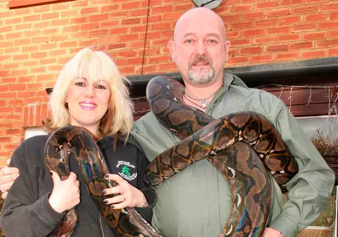 A muşcat din piton ca să scape