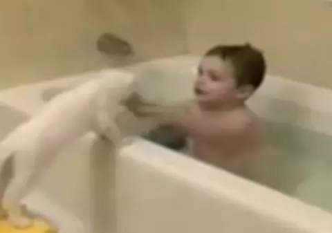 Curiozitatea te... udă