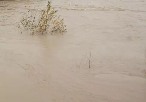 Un cioban român înecat într-un canal lângă Treviso