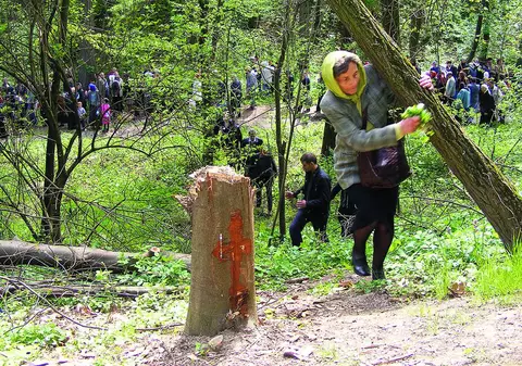 Pelerinii au luat apă sfinţită de lângă copacul unde s-a spânzurat «Miss Vacanţa»
