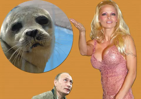 «Domnu’ Putin, ajutaţi-mă să salvez focile!»