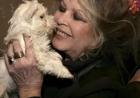 Brigitte Bardot acuză Egiptul de laşitate pentru sacrificarea porcilor