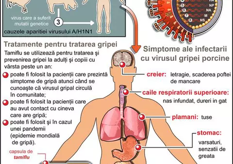 Măsuri de prevenţie împotriva gripei porcine